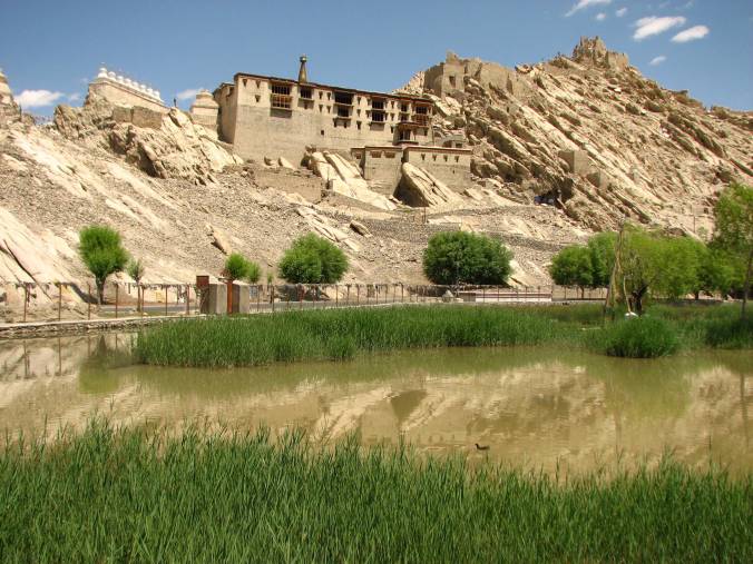 Shey monastery and Palace.