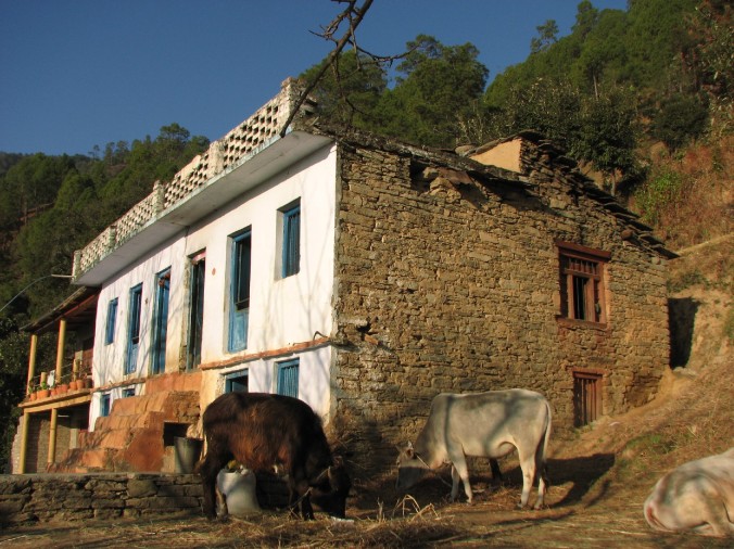 Homes at Gaunap village.